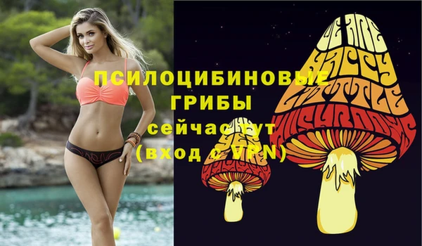 MDMA Premium VHQ Тайга