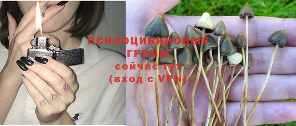 меф Тавда